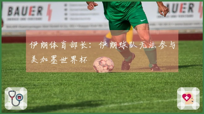 伊朗体育部长：伊朗球队无法参与美加墨世界杯