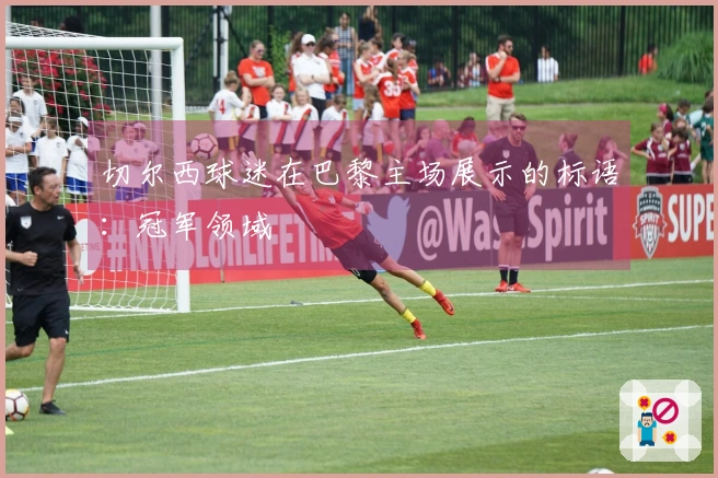 切尔西球迷在巴黎主场展示的标语：冠军领域